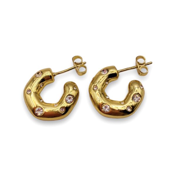 Veronica Hoops