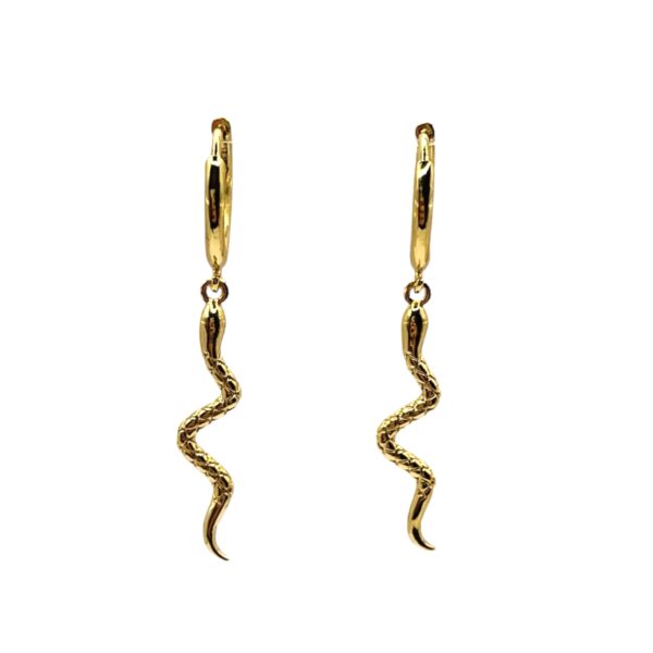Snake Hoops